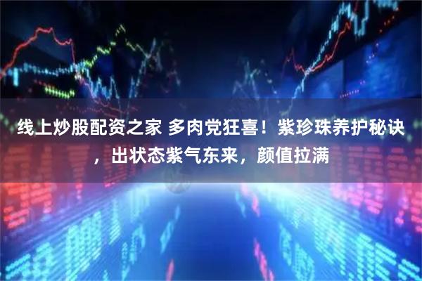 线上炒股配资之家 多肉党狂喜！紫珍珠养护秘诀，出状态紫气东来，颜值拉满