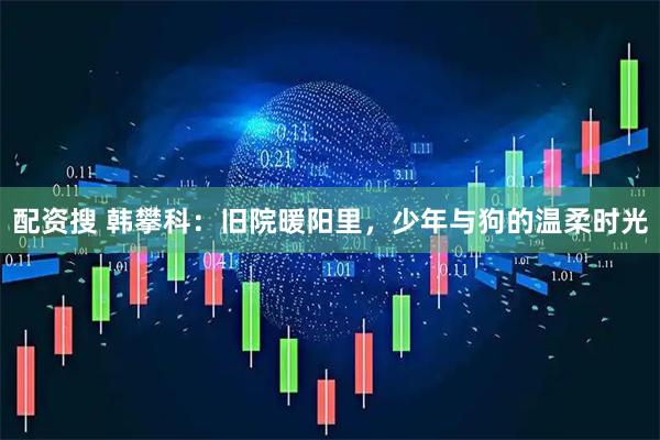 配资搜 韩攀科：旧院暖阳里，少年与狗的温柔时光